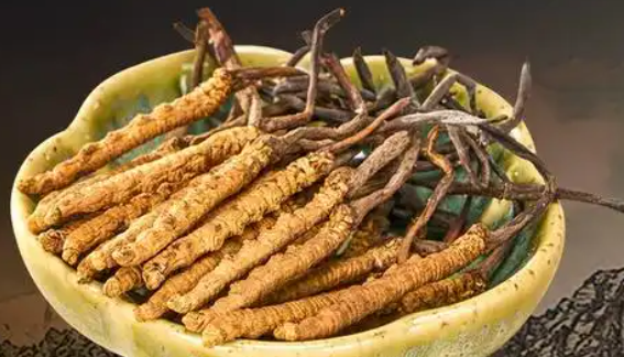 为什么冬虫夏草出自西藏？